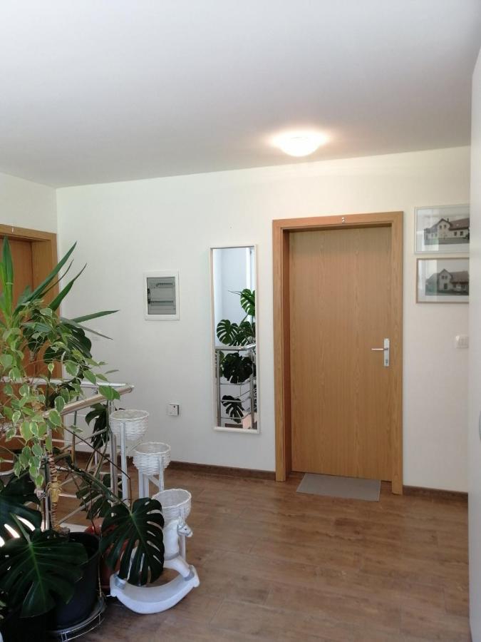 Appartement Sobe Pri Rozi à Postojna Extérieur photo